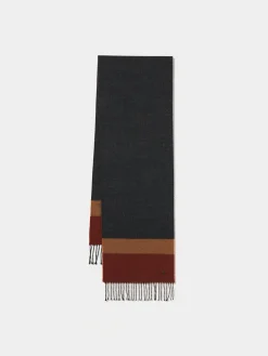 Cachecol tricolor com franjas|LION OF PORCHES Cheap