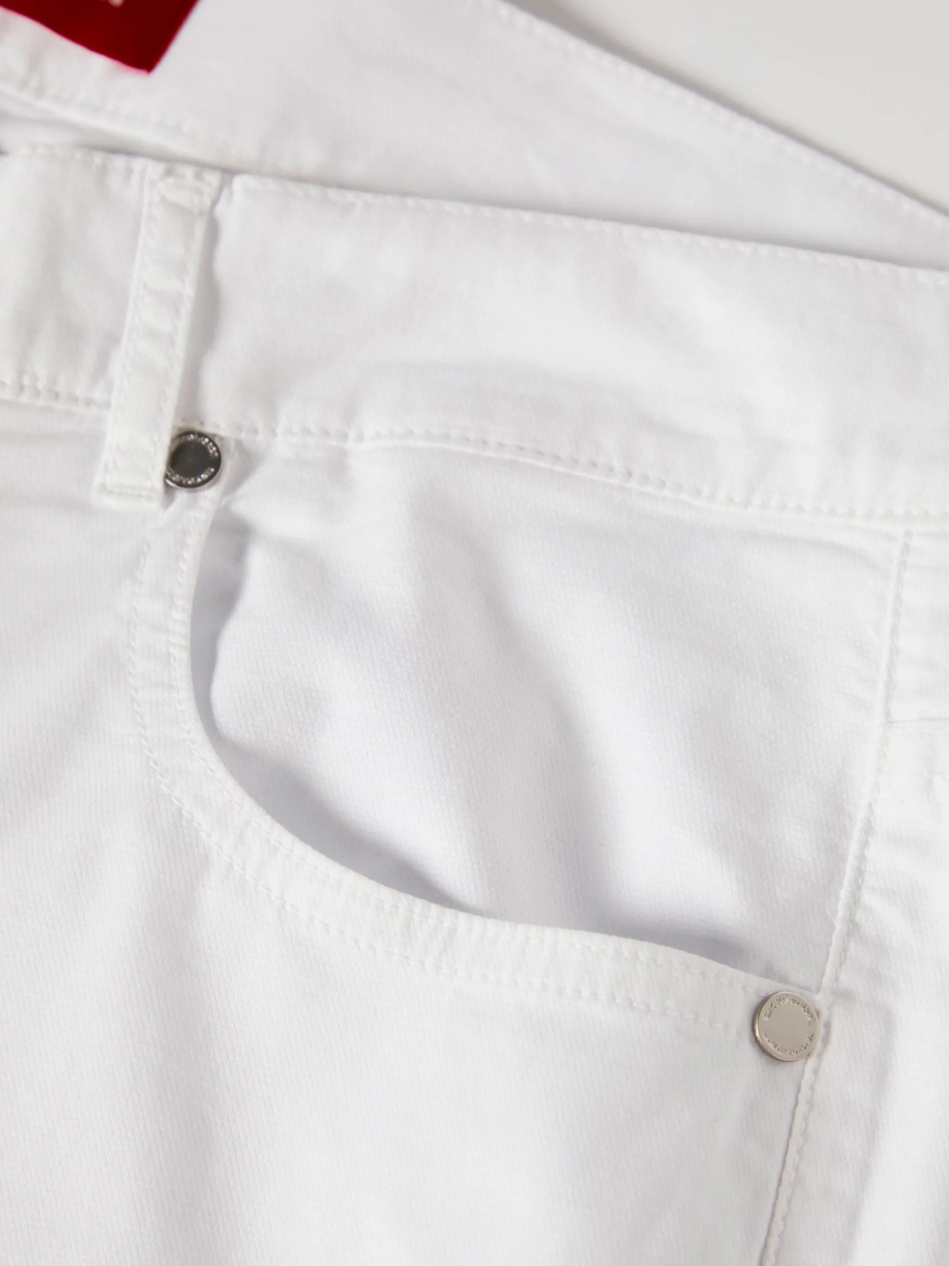 Calças regular fit com cinco bolsos|LION OF PORCHES Sale
