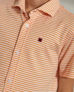 Camisa|LION OF PORCHES New