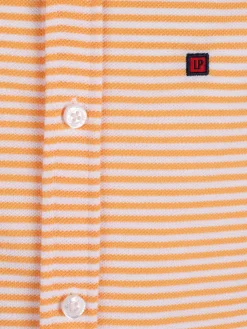 Camisa|LION OF PORCHES New