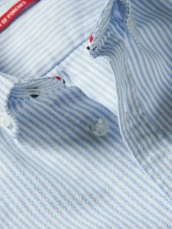 Camisa de riscas 100% algodão|LION OF PORCHES Shop