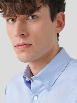 Camisa oxford regular fit|LION OF PORCHES Hot