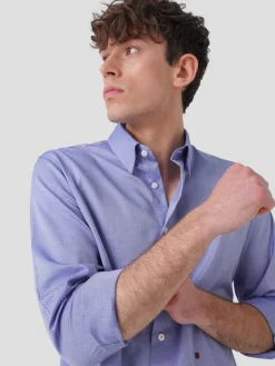 Camisa oxford regular fit|LION OF PORCHES New