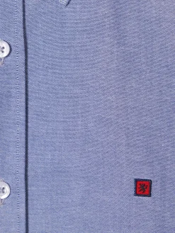 Camisa oxforf lisa regular fit|LION OF PORCHES Online