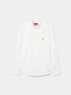 Camisa regular fit de algodão|LION OF PORCHES Store