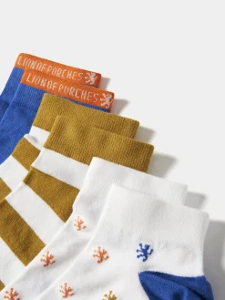 Pack de meias soquetes coloridas|LION OF PORCHES Sale