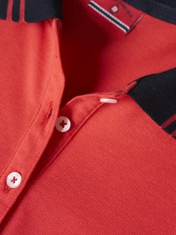 Polo piqué bicolor em algodão|LION OF PORCHES Outlet