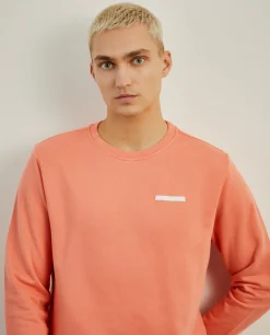 Sweater básica de algodão|LION OF PORCHES New