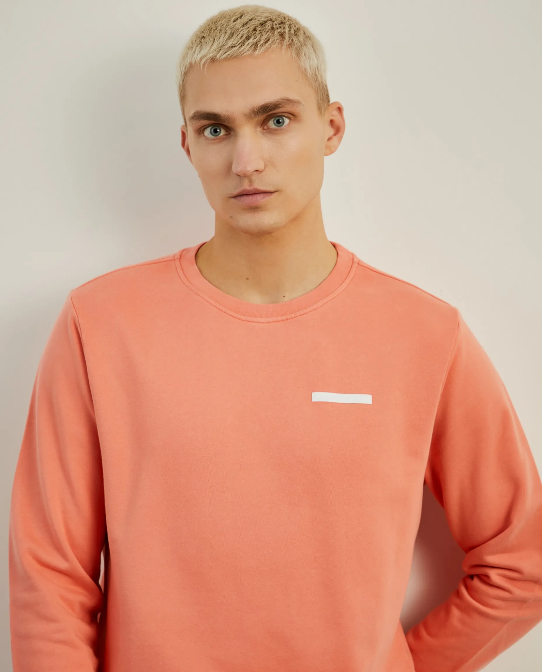 Sweater básica de algodão|LION OF PORCHES New
