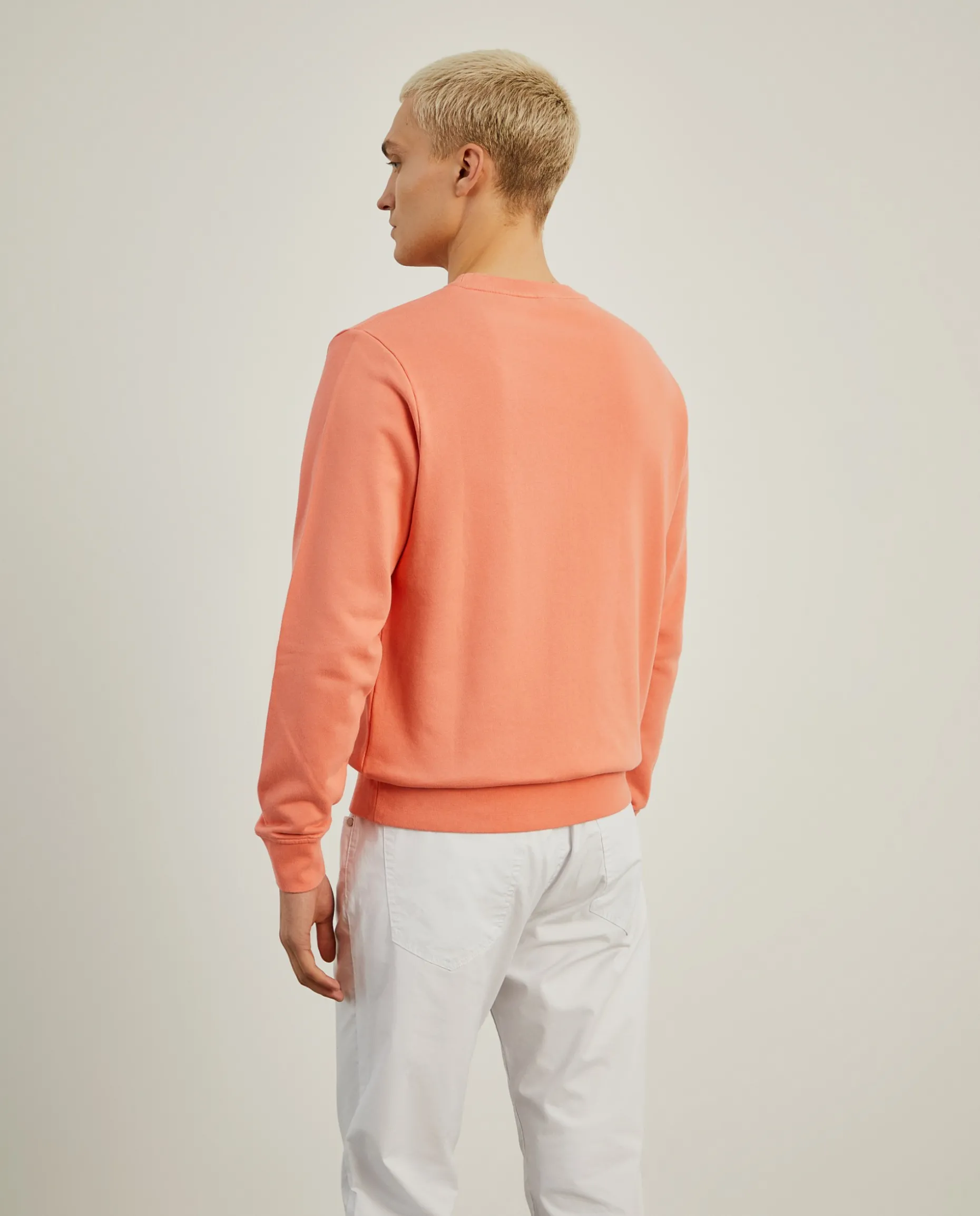 Sweater básica de algodão|LION OF PORCHES New