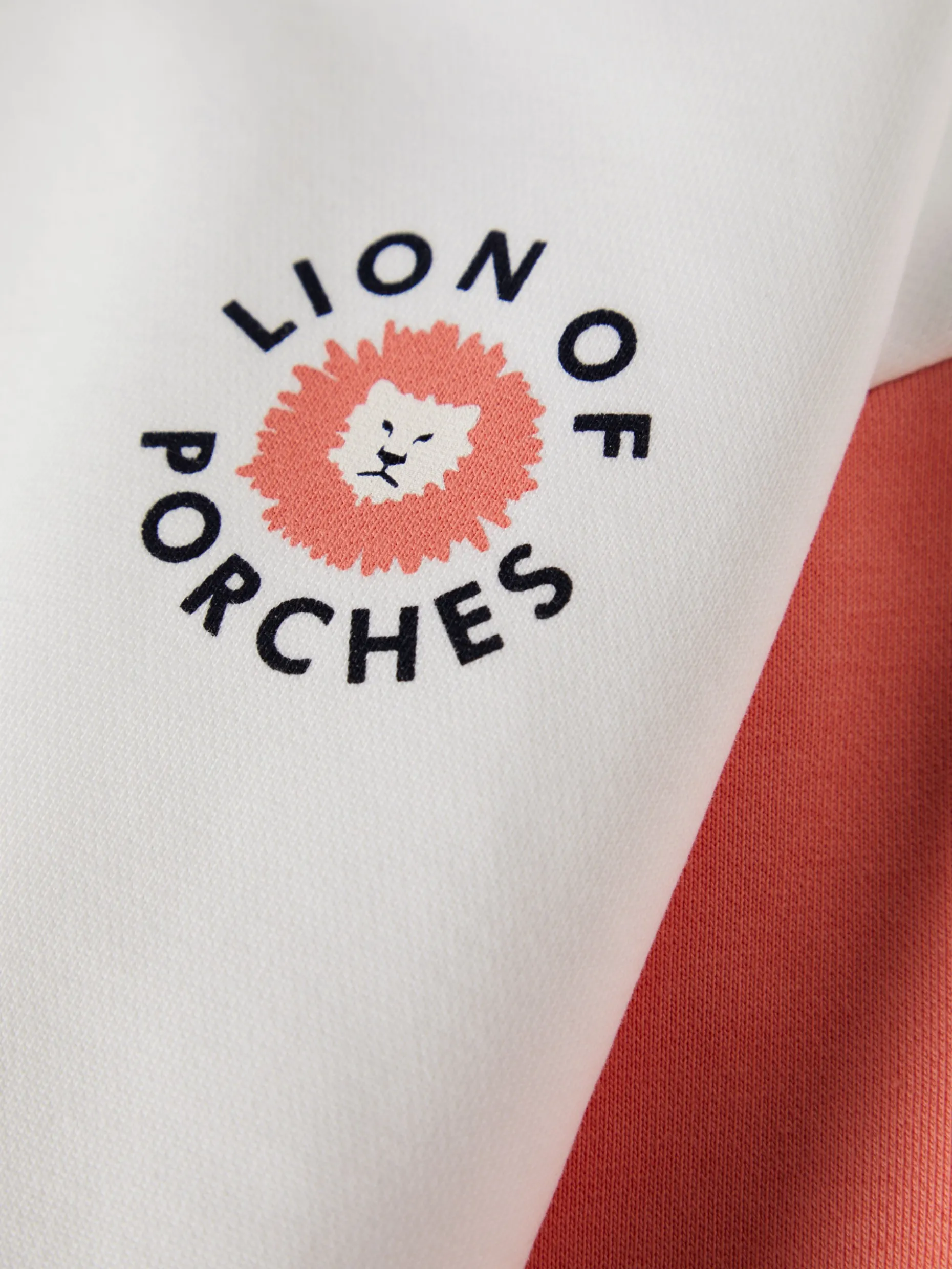 Sweater colorblock em algodão|LION OF PORCHES Sale