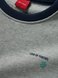 Sweater de algodão color block|LION OF PORCHES Sale