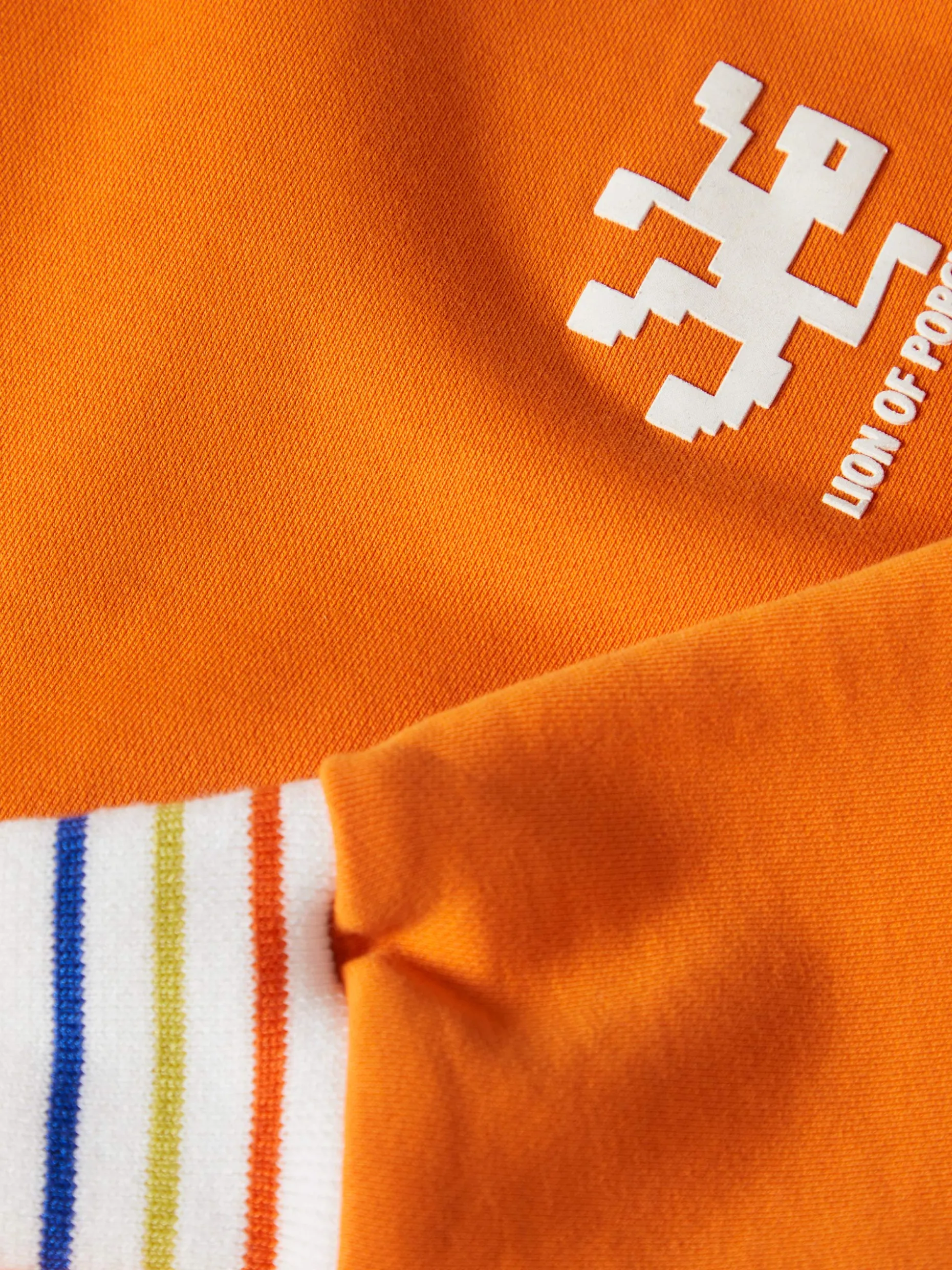 Sweater de algodão com riscas tricolor|LION OF PORCHES Best