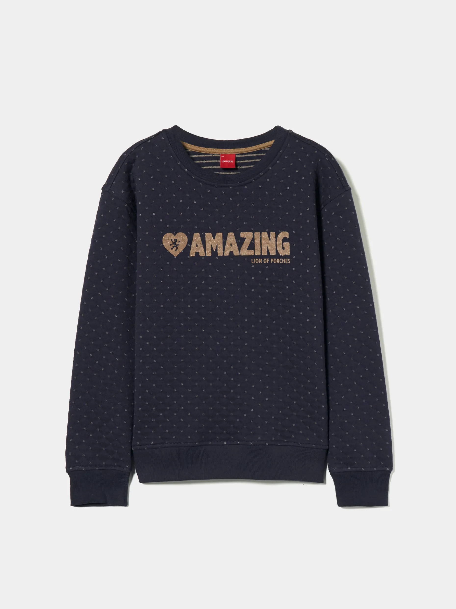 Sweater de malha com estampado|LION OF PORCHES Sale