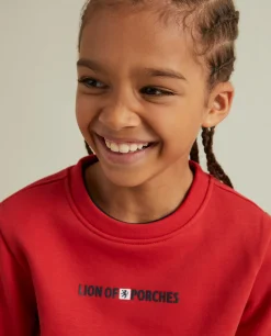 Sweater manga comprida|LION OF PORCHES Outlet