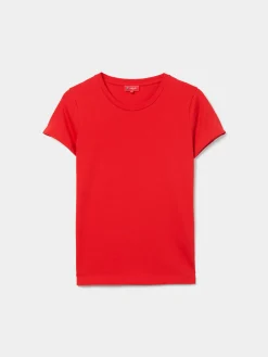 T-shirt básica de algodão|LION OF PORCHES Store